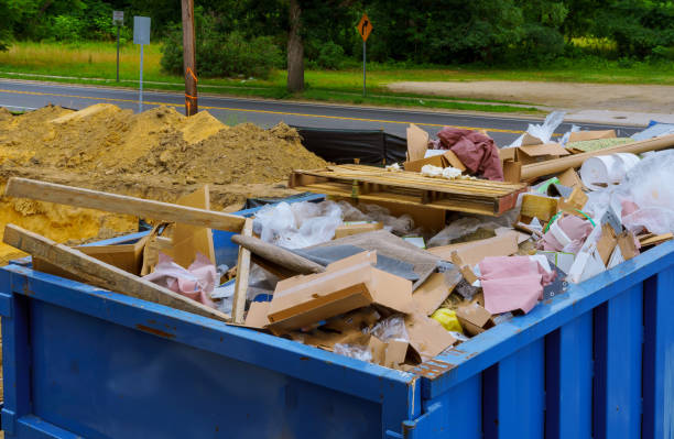 Best Basement Cleanout  in Spring Valley, MN